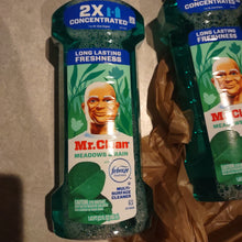 이미지를 갤러리 뷰어에 로드 , Mr. Clean
