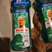 이미지를 갤러리 뷰어에 로드 , Mr. Clean
