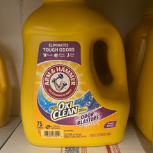 Load image into Gallery viewer, Arm &amp; Hammer
