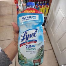 이미지를 갤러리 뷰어에 로드 , Lysol
