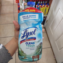 이미지를 갤러리 뷰어에 로드 , Lysol
