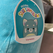 Load image into Gallery viewer, Squishmallows
