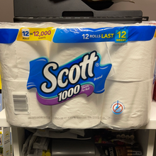 Load image into Gallery viewer, Scott
