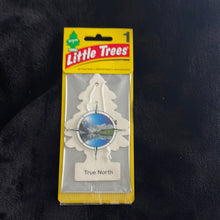 Load image into Gallery viewer, Little Trees
