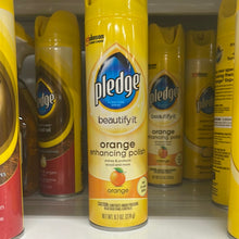 이미지를 갤러리 뷰어에 로드 , Pledge
