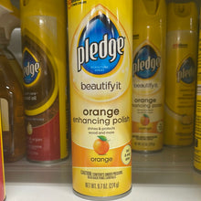 이미지를 갤러리 뷰어에 로드 , Pledge
