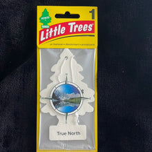Load image into Gallery viewer, Little Trees
