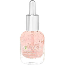 이미지를 갤러리 뷰어에 로드 , Nailtopia
