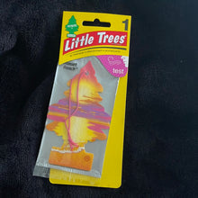 이미지를 갤러리 뷰어에 로드 , Little Trees

