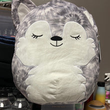 Load image into Gallery viewer, Squishmallows
