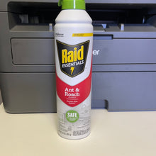 Load image into Gallery viewer, Raid
