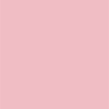 Load image into Gallery viewer, Nailtopia

