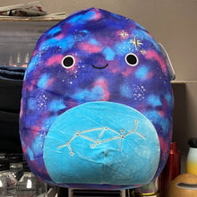 गैलरी व्यूवर में इमेज लोड करें, Squishmallows
