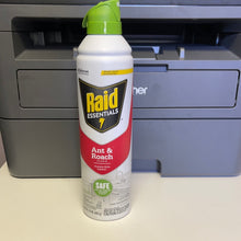 Load image into Gallery viewer, Raid
