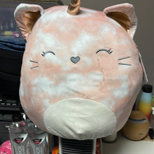 Load image into Gallery viewer, Squishmallows
