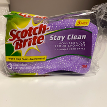 Load image into Gallery viewer, Scotch Brite
