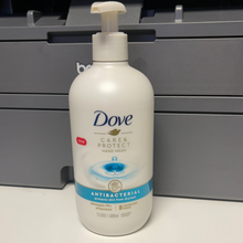 Load image into Gallery viewer, Dove
