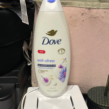 Load image into Gallery viewer, Dove
