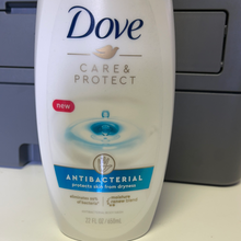 Load image into Gallery viewer, Dove
