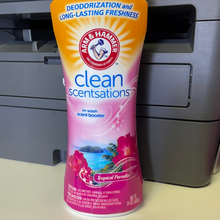 Load image into Gallery viewer, Arm &amp; Hammer
