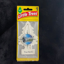Load image into Gallery viewer, Little Trees
