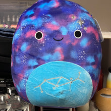 गैलरी व्यूवर में इमेज लोड करें, Squishmallows
