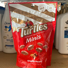 Load image into Gallery viewer, Turtles - Minis, 6.2oz
