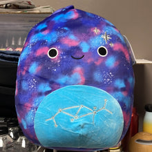 गैलरी व्यूवर में इमेज लोड करें, Squishmallows
