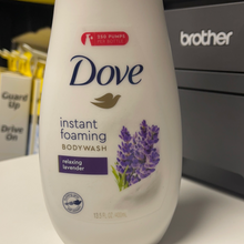 Load image into Gallery viewer, Dove
