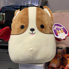 Load image into Gallery viewer, Squishmallows
