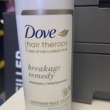 Load image into Gallery viewer, Dove

