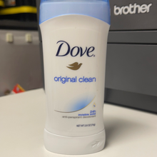 Load image into Gallery viewer, Dove
